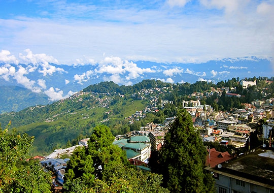 DARJEELING JD008, 8 DAYS / 7 NIGHTS